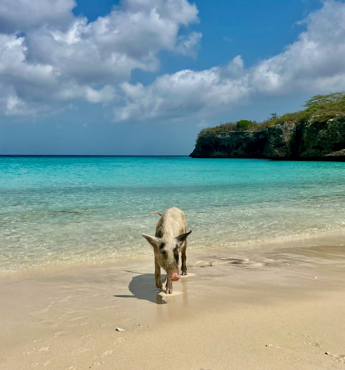 Playa Kenepa Grandi